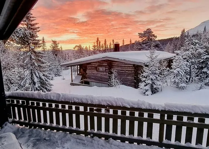 With Ski-inout And Hot Tub In Fagerasen * Trysil